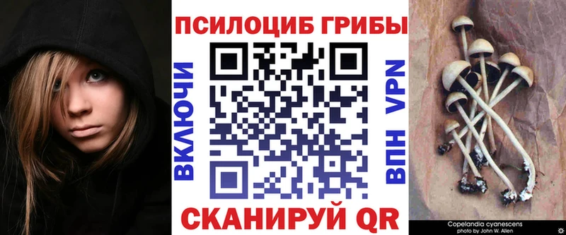 Псилоцибиновые грибы ЛСД  Зерноград 